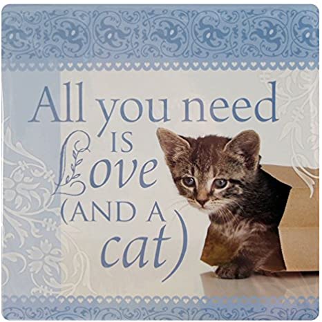 Featured image of post All You Need Is Love And A Cat The Range