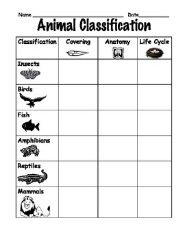 Featured image of post Animal Classification Chart Worksheet