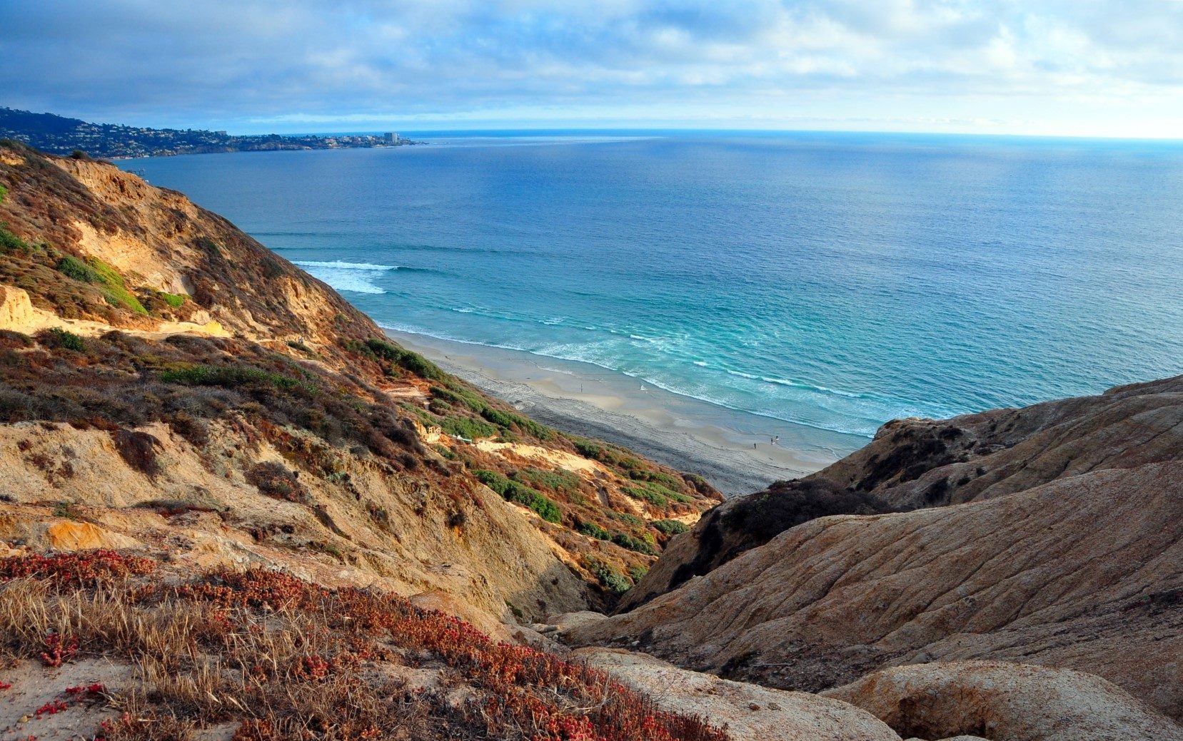 Featured image of post Black Beach San Diego Pictures