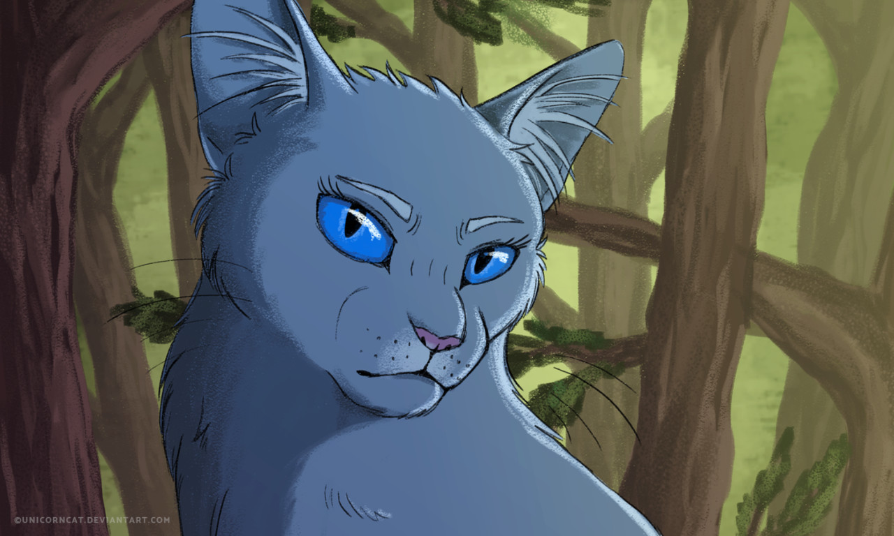 Featured image of post Bluestar Warrior Cats Images