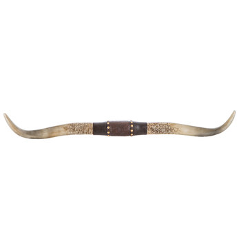 Featured image of post Cow Horns Decor