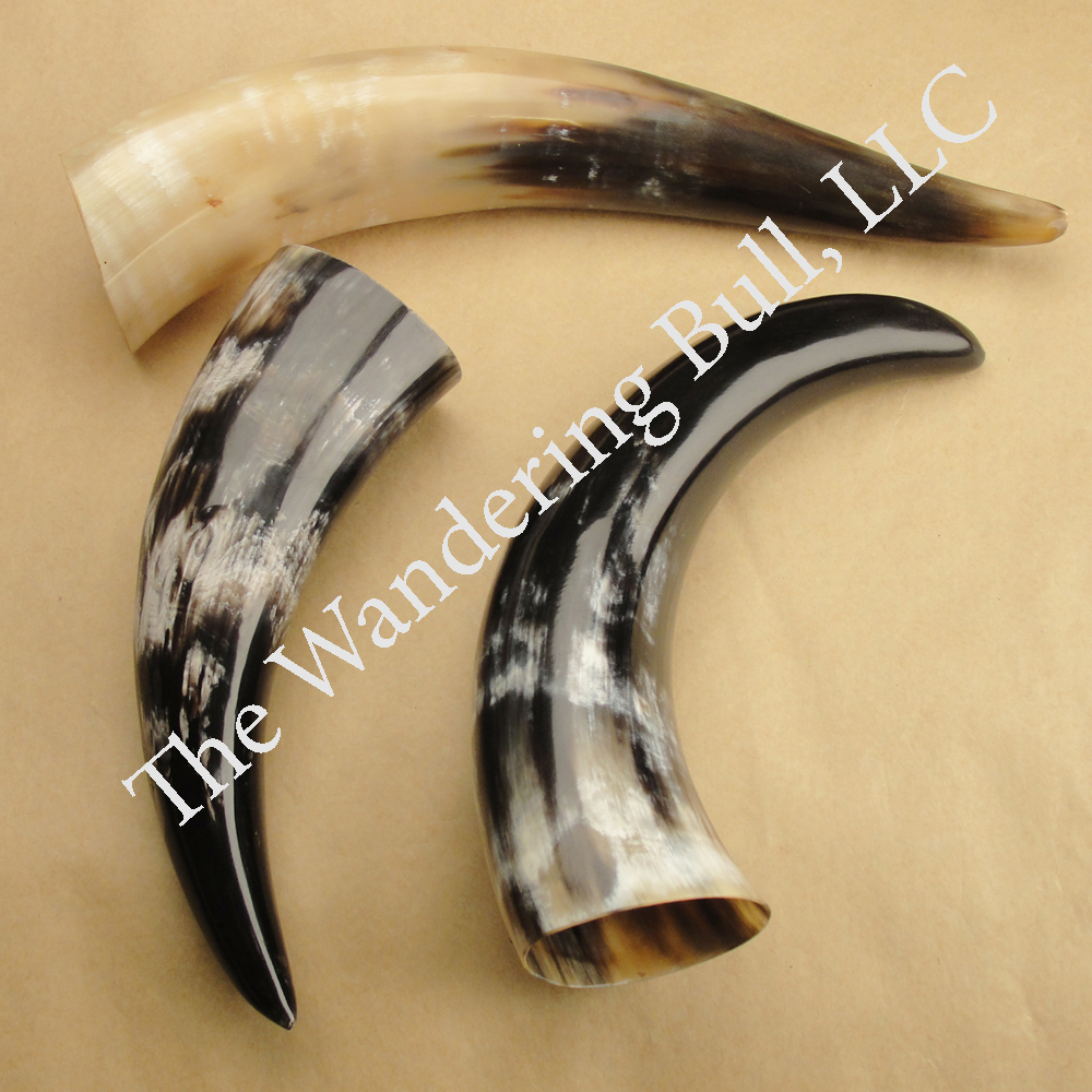 Featured image of post Cow Horns For Sale