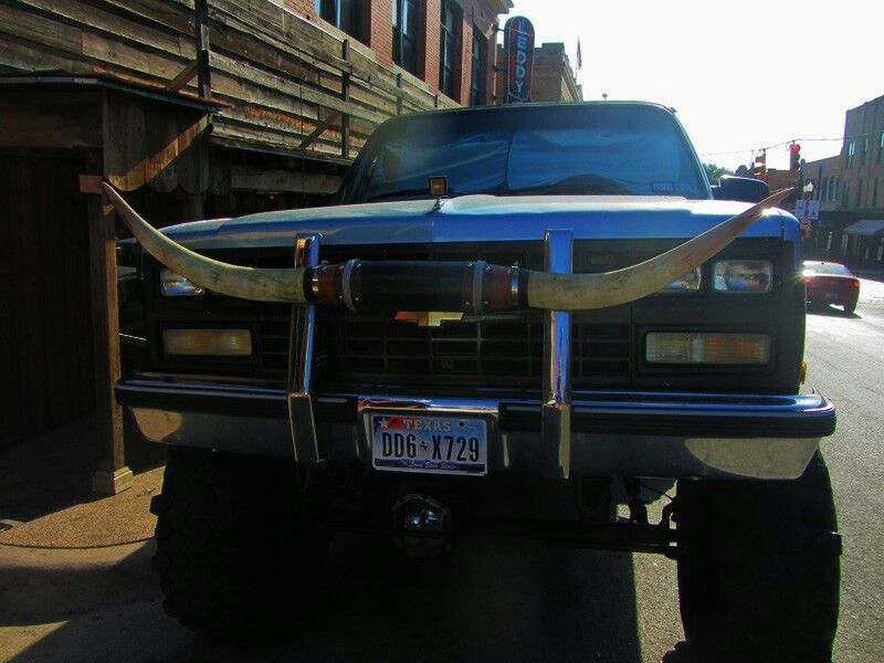 Featured image of post Cow Horns For Truck