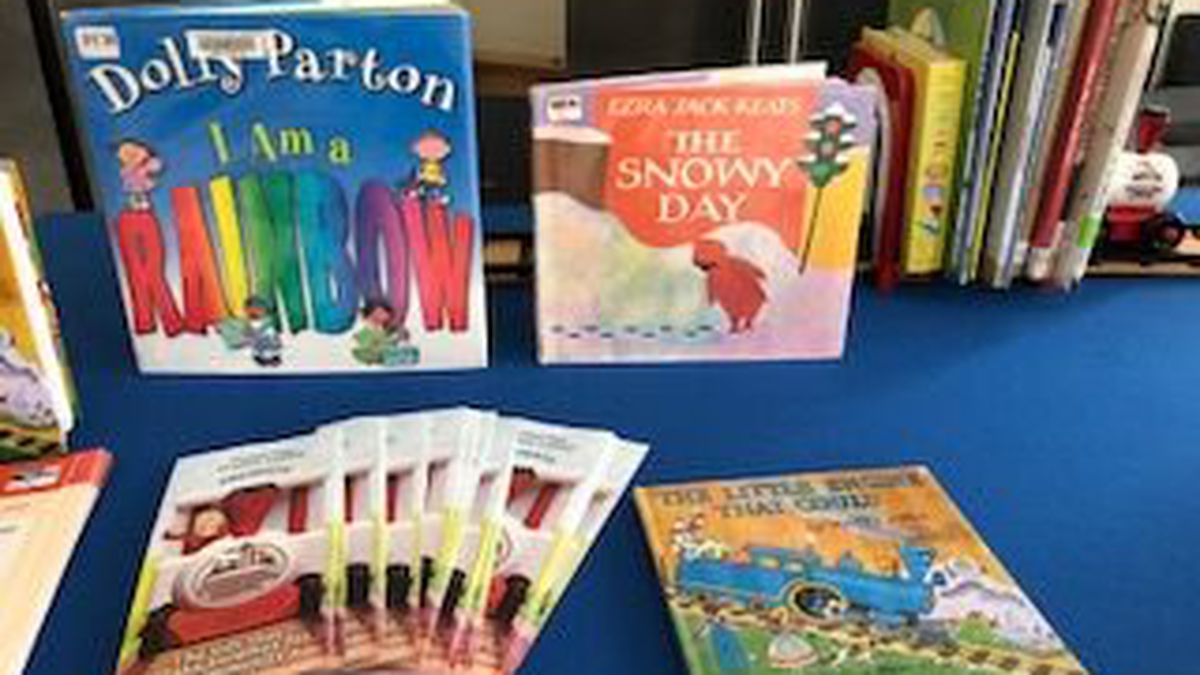 Featured image of post Dolly Parton Free Books