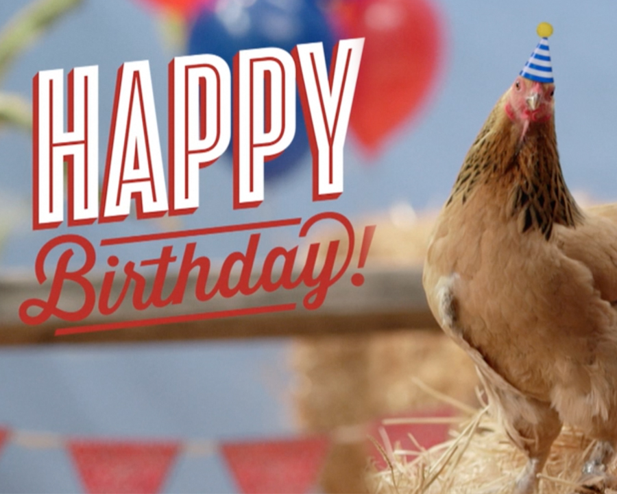 Featured image of post Happy Birthday Chicken Images