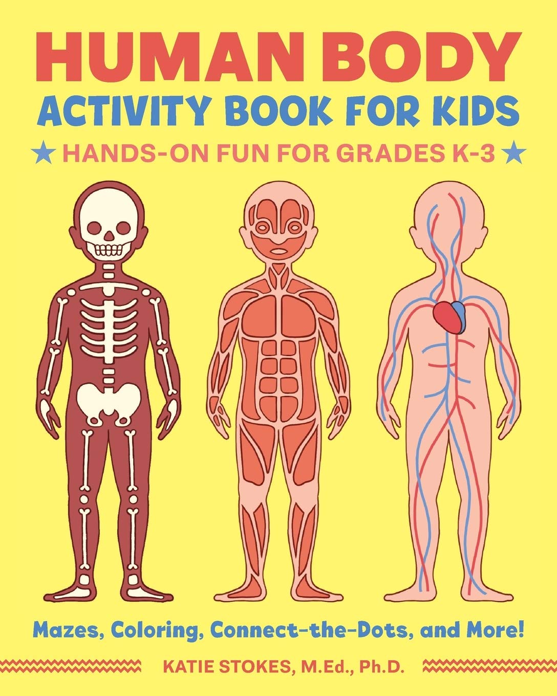 Featured image of post Human Body For Kindergarten