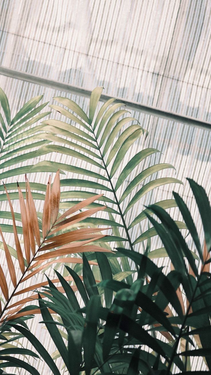 Featured image of post Pastel Plant Aesthetic Background