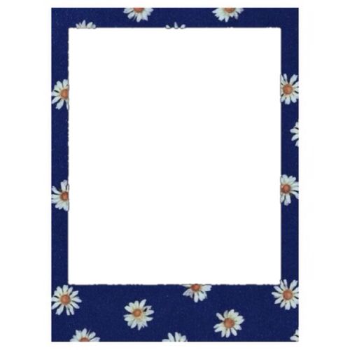 Featured image of post Polaroid Aesthetic Picture Frame Png