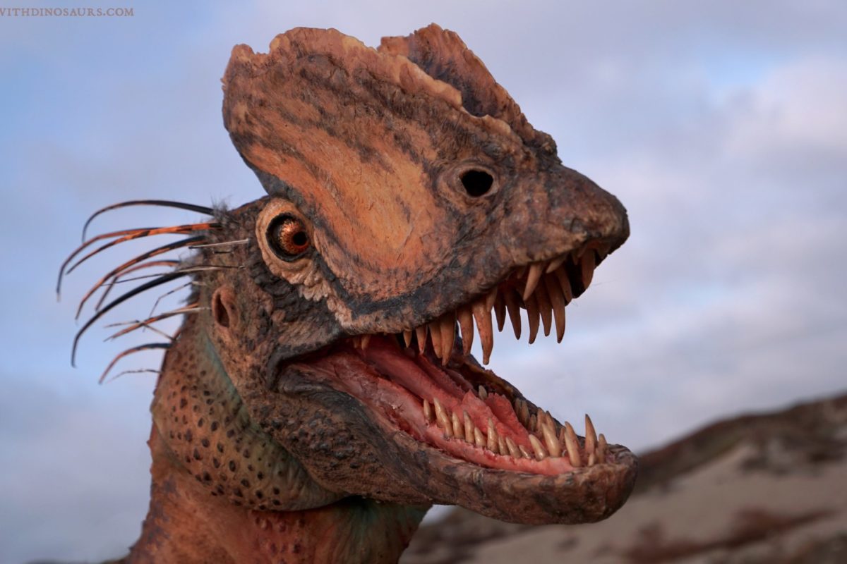 Featured image of post Spitting Dinosaur Name