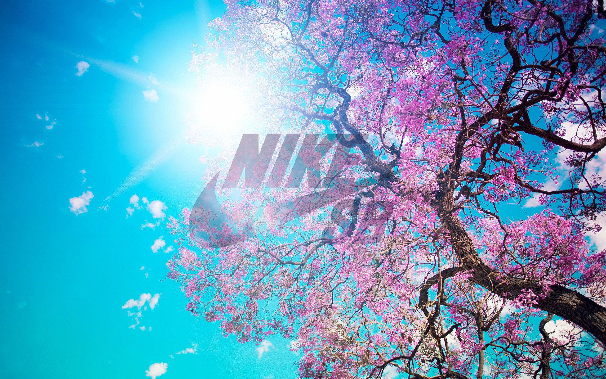 Featured image of post Tumblr Nike Desktop Wallpaper