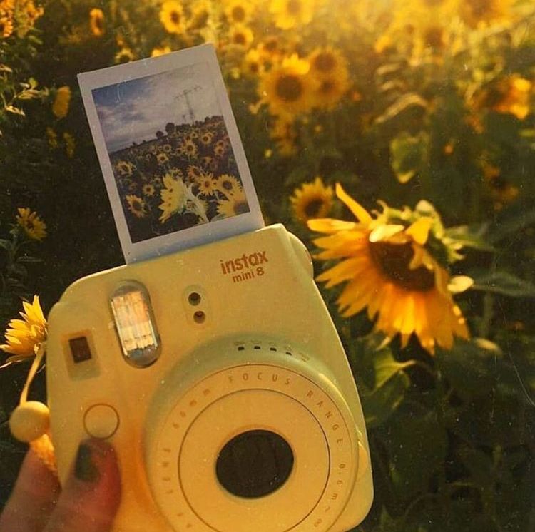 Featured image of post Yellow Polaroid Picture Aesthetic